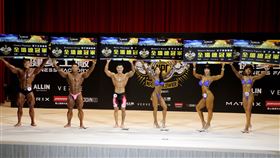 IFBB,健美界,猛男,女神,天菜,奧賽