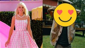 ▲「甜茶」提摩西夏勒梅。（圖／翻攝自IG）