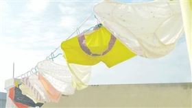 美國,內褲,換洗。(圖/翻攝自Pexels)