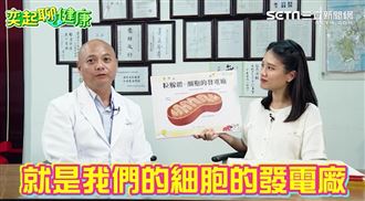 癌症最討厭的東西曝光   讓身體健康如牛