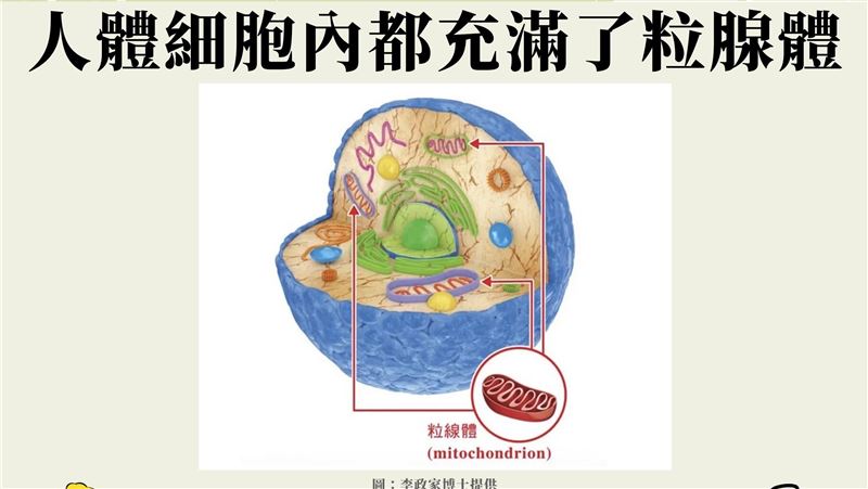 癌症最討厭這種東西   他曝9招養生法