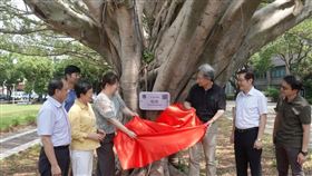 中原大學舉行樹木揭牌典禮，表達對環境保護與實踐永續發展的堅定信心與決心。（圖／中原大學提供）