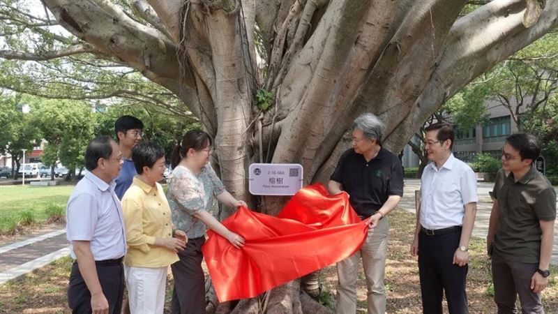 中原大學計算校園樹木效益　提倡環保永續