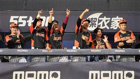 ▲獅隊在第6局打下13人次10安8分大局。（圖／統一獅球團提供）