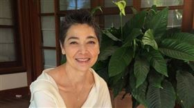 賴佩霞參選被稱為是人選之人現實版。（圖／翻攝自賴佩霞IG）