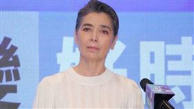 郭台銘副手賴佩霞。（圖／記者楊澍攝影）