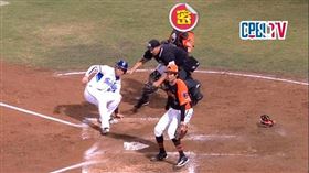 ▲主審林金達為了換位置和跑者進壘，和補位的統一獅捕手陳重羽相撞。（圖／翻攝自CPBL TV）