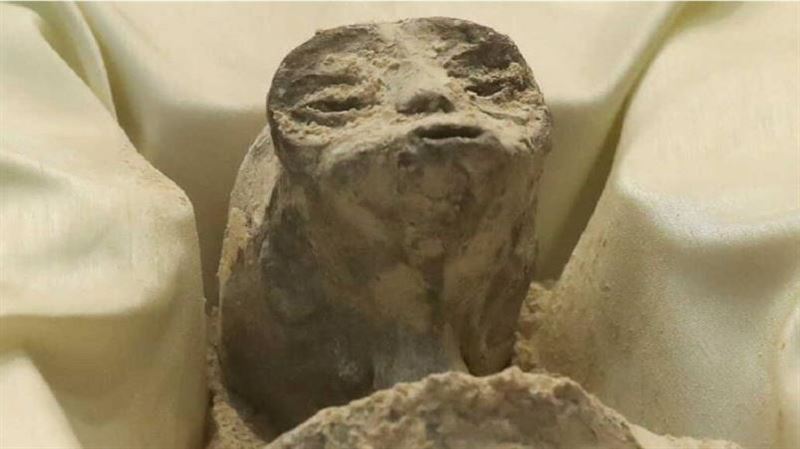 2具外星人屍體X光照曝：竟然懷孕還3胞胎