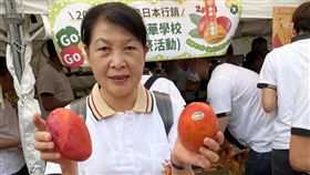 詐領助理費,蔡秋蘭,市議員,台南市