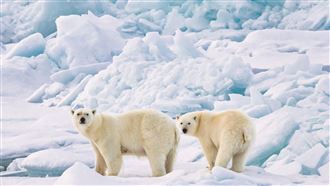 夏古號抵正北極90度　晴天旅遊取獨家席次