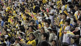 ▲阪神虎睽違18年在央聯封王。（資料圖／路透社／達志影像）