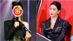 ▲田震。（圖／翻攝自田震微博）