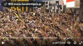 ▲阪神虎睽違18年在央聯封王。（圖／翻攝自阪神虎推特）