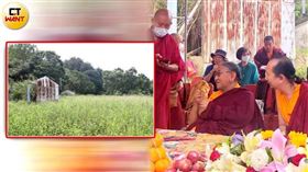 文殊佛學會宣稱要在苗栗興建閉關成就中心並募款，原定9月動工，該處至今卻仍是荒煙蔓草。（圖／讀者提供、劉耿豪攝／CTWANT合成）