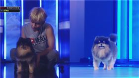 防彈少年團金泰亨與愛犬煤炭。（圖／翻攝自YouTube）