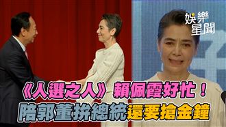 賴佩霞參選演技懶人包