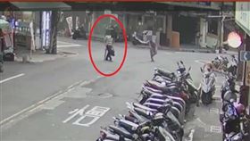 新北市,三重,電線桿,松鼠,