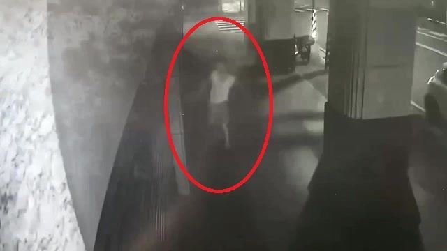 嫌佛堂播佛經太吵　中和鐵鎚伯半夜怒砸門