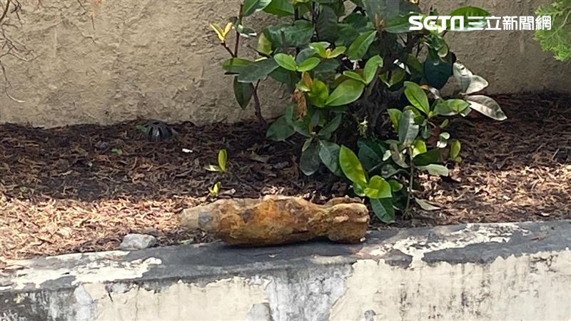 怪手挖到未爆彈　他徒手抓彈衝派出所求助