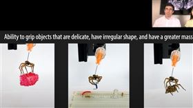 2023搞笑諾貝爾獎出爐，美國萊斯大學團隊讓蜘蛛「死而復生」，並作為機械化抓取工具，獲機械工程獎。（圖取自Improbable Research YouTube頻道網頁youtube.com）