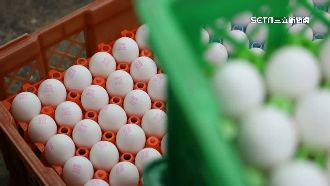 工廠將進口蛋標示台灣　不明蛋流入市場