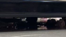 嘉義　餐廳　老鼠　（圖／翻攝自Dcard）