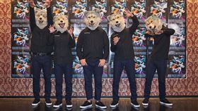 ▲狼人樂團「MAN WITH A MISSION」（圖／華貴娛樂提供）