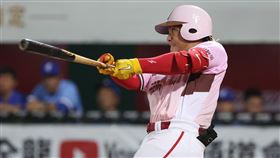 ▲吉力吉撈．鞏冠單場4安並敲本季第16轟，連續15場有安打。（圖／味全龍球團提供）