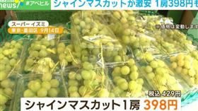 （圖／翻攝自ABEMA官網）