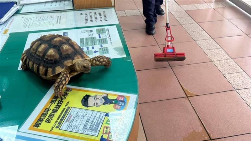 「四腳獸」路邊日光浴　她急衝派出所笑了