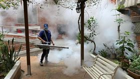 台中登革熱(台中市政府提供)