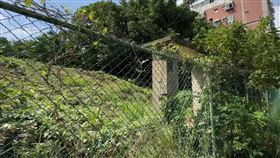 寡婦樓,都更（圖／翻攝畫面）