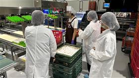 進口蛋,洗選蛋,蛋荒,爭議,高雄市衛生局