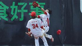 ▲郭天信再見超美技接殺。（圖／味全龍球團提供）