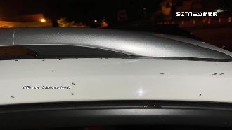 獨／牽車返家遇蟻害！樂園：願付清理費