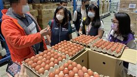 桃園進口蛋！「期效剩7天」已出貨6縣市（圖／桃園市衛生局）