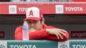 大谷翔平開刀治療手肘，術後本人也親自發文報喜。（圖／美聯社／達志影像）