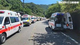 新北市,瑞芳,蜂螫