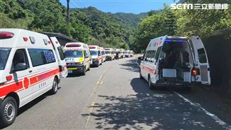 20人相約爬山遇蜂螫　11人螫傷2人命危