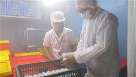 新北市,蛋液,福商勝