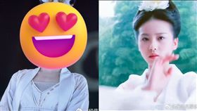 ▲BLACKPINK，jisoo，劉詩詩。（圖／翻攝自微博，IG）