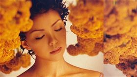 攝影展《你的青春也是我的青春》集結17位巨星。（圖／創意大群組提供）