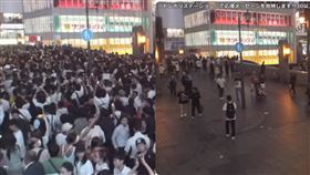 日職,阪神虎,道頓堀,歐力士猛牛隊,報知體育