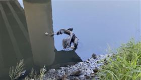 新北市，五股，永安大橋，機車，水溝