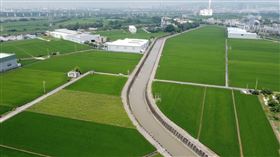 強酸污染台中圳溝10年，4家黑心油商，偷倒廢切削油水，強酸、重金屬汙染，烏日區番仔園圳緊鄰農田(圖／翻攝畫面)