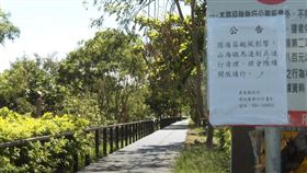 海葵颱風肆虐台東，造成大量路樹折損倒塌。（圖／台東縣政府影片截圖）