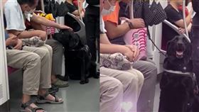 導盲犬被摸頭後，露出燦爛笑容。（圖／翻攝自微博）