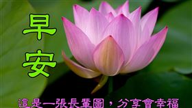 長輩圖（圖／翻攝自黃偉哲臉書）