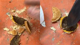 放置多年的麥當勞漢堡變硬，男子使用鐵槌敲擊才把它用碎。（圖／whats_the_issue TikTok）