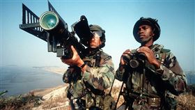 ▲刺針飛彈（圖／翻攝自維基百科）